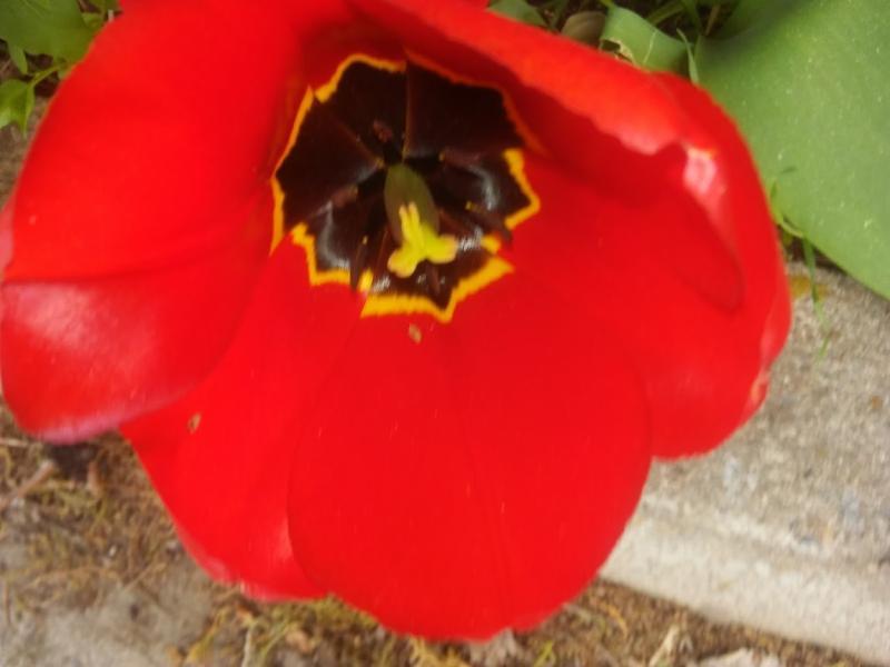 0507171807a