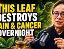 put this leaf in hot water and